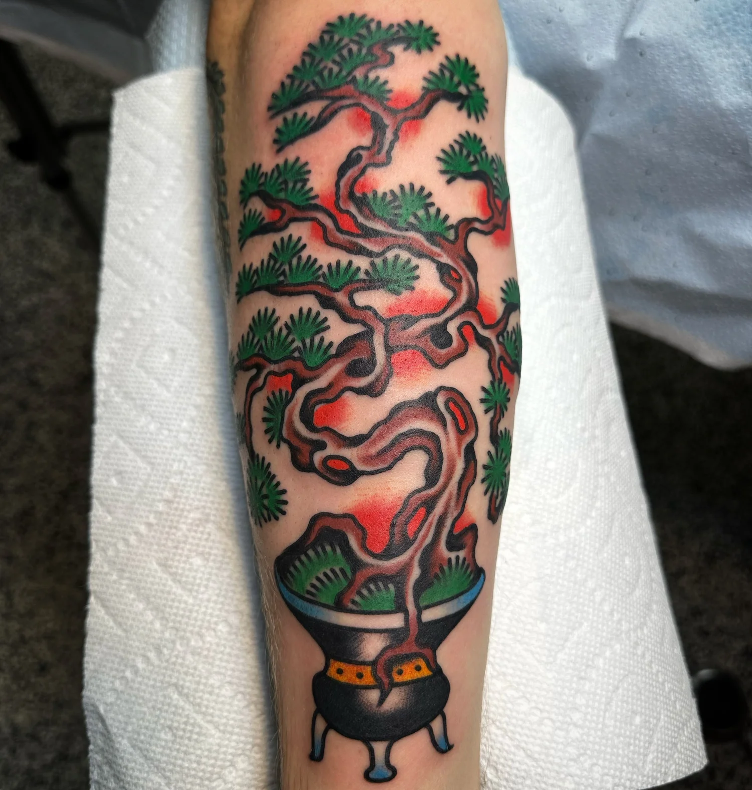 Bonsai tree traditional tattoo by Adventure Tattoo